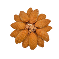 Kalburabastı 1KG