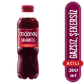 Doğanay Şalgam Suyu Acılı 300ml*24AD