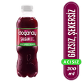 Doğanay Şalgam Suyu Acısız 300ml*24AD